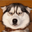 สมาชิกหมายเลข 1824176