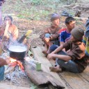 ช้างพลาย