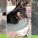 สมาชิกหมายเลข 729114