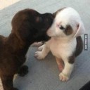 สมาชิกหมายเลข 790460