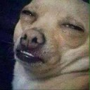 สมาชิกหมายเลข 2032741