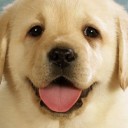 สมาชิกหมายเลข 2821926