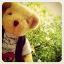 aor_cute