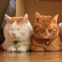 สมาชิกหมายเลข 791197