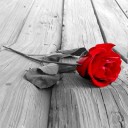 สมาชิกหมายเลข 994944