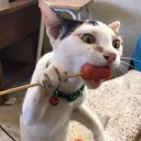 สมาชิกหมายเลข 3252779