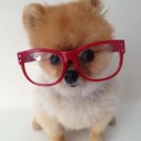 สมาชิกหมายเลข 790646