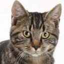 สมาชิกหมายเลข 791315