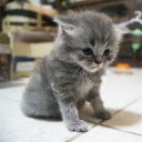 สมาชิกหมายเลข 755812