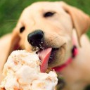 มีสไตล์อย่างมีสติ