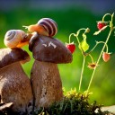 สมาชิกหมายเลข 3253360