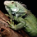 สมาชิกหมายเลข 791701