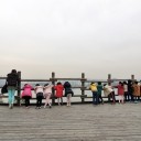 อยู่คนเดียวไม่เป็น