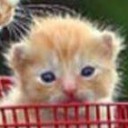 สมาชิกหมายเลข 2207809