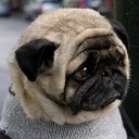 สมาชิกหมายเลข 2357735