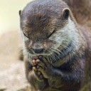 สมาชิกหมายเลข 2822996