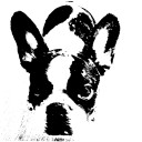 สมาชิกหมายเลข 767779