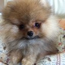 คนขนไข่