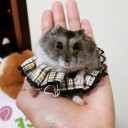 สมาชิกหมายเลข 992903