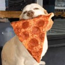 Food fan!