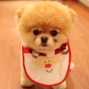 สมาชิกหมายเลข 2034816