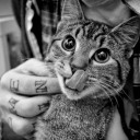 สมาชิกหมายเลข 3254792