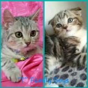 จุนแม่ของTigger