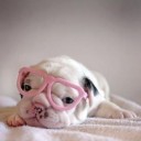 สมาชิกหมายเลข 1607767