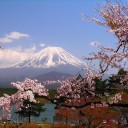 สมาชิกหมายเลข 2390152