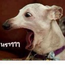 สมาชิกหมายเลข 3255442