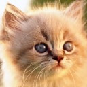 เจ๊ใหญ่  ใจดี