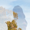 สมาชิกหมายเลข 1112781