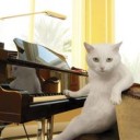 สมาชิกหมายเลข 3255880