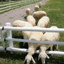 สมาชิกหมายเลข 773718