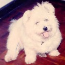 สมาชิกหมายเลข 793903