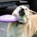 สมาชิกหมายเลข 1192579