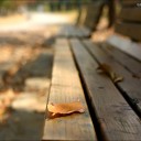 สมาชิกหมายเลข 3255980