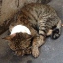 สมาชิกหมายเลข 793568