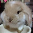 สมาชิกหมายเลข 794322