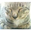 สมาชิกหมายเลข 794638