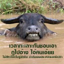 สมาชิกหมายเลข 1192831