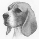 สมาชิกหมายเลข 709398