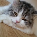 สมาชิกหมายเลข 2825366