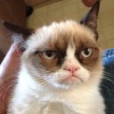 TheGrumpyCat