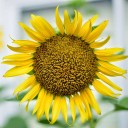 สมาชิกหมายเลข 1192321