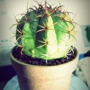 สมาชิกหมายเลข 795348