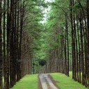 สมาชิกหมายเลข 1193370