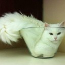 สมาชิกหมายเลข 1193760