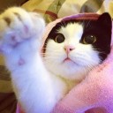 สมาชิกหมายเลข 892852