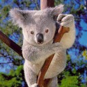 สมาชิกหมายเลข 725339